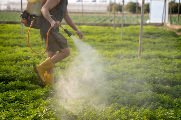 Best Mosquito Control Services  in Orem, UT