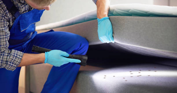 Best Pest Control Near Me  in Orem, UT